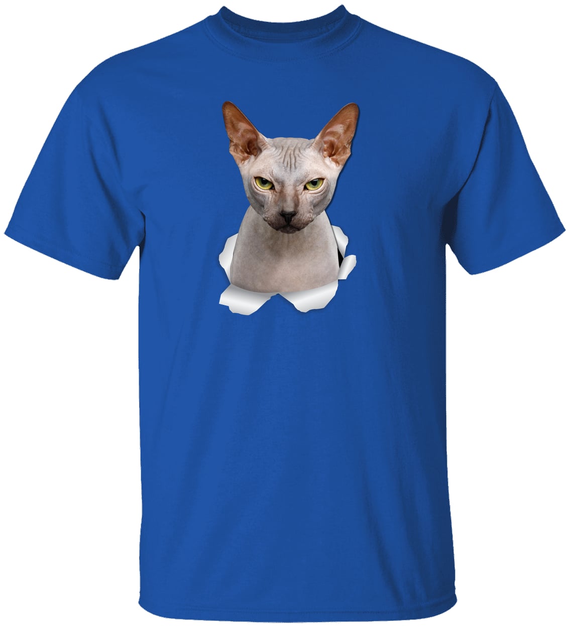 G500 Gildan 5.3 oz. T-Shirt - Royal