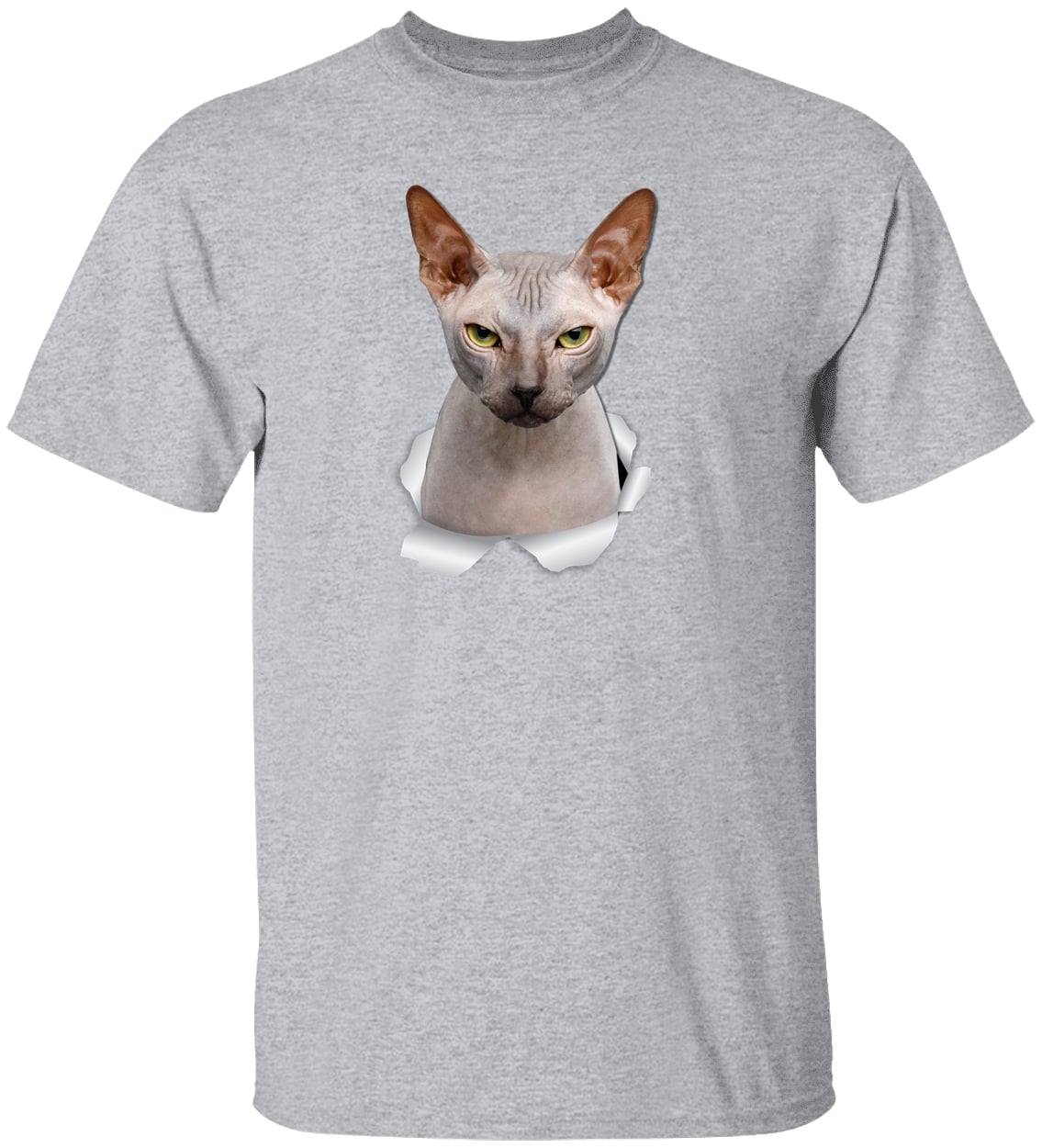G500 Gildan 5.3 oz. T-Shirt - Sport Grey