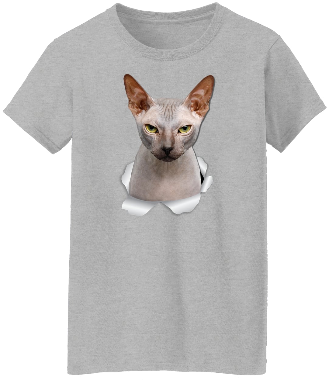 G500L Ladies' 5.3 oz. T-Shirt - Sport Grey
