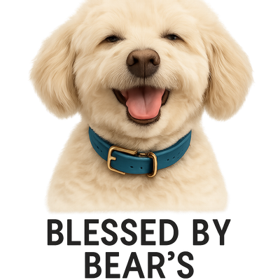 Bear as Sunbeam Smile Delight