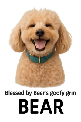 Bear as Sunbeam Smile Delight