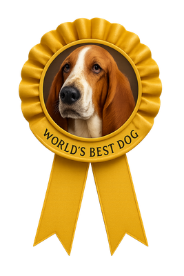 Champion Basset Gold Ribbon