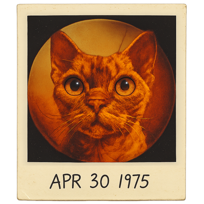 Vintage Feline Time Capsule