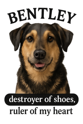 Furry Guardian of Footwear