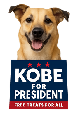 Playful Campaign Promises