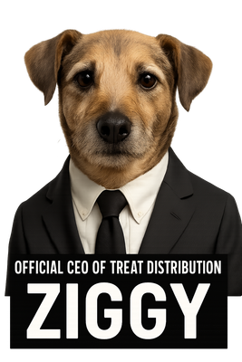 Boss in a Black Suit