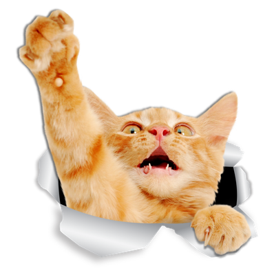 Playing Ginger