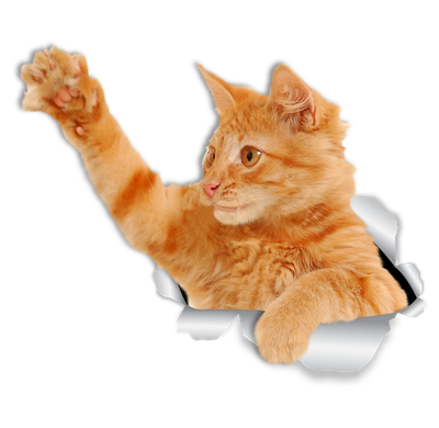 Playing Ginger